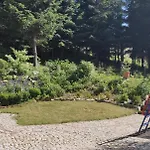 Gosciniec Saba *